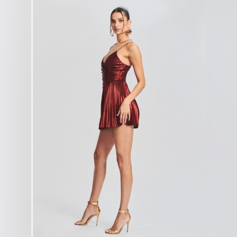 Retrofete Burgundy Mini Dress